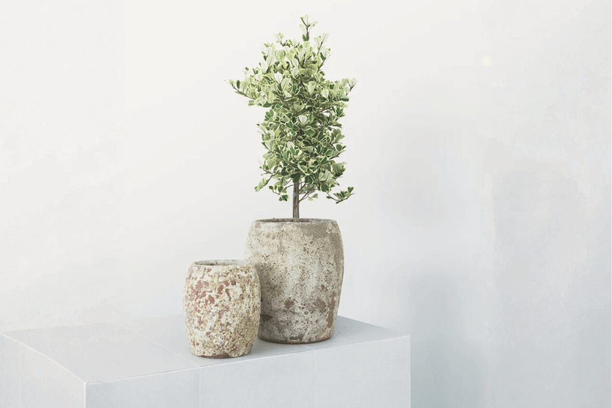 Inside the Kiln: Understanding Ceramic Textures and Finishes - Fourseas Pottery